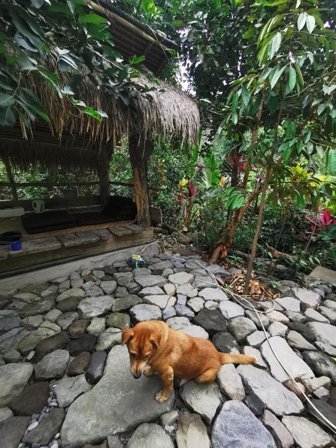 Les Garden Villa Tejakula Buitenkant foto