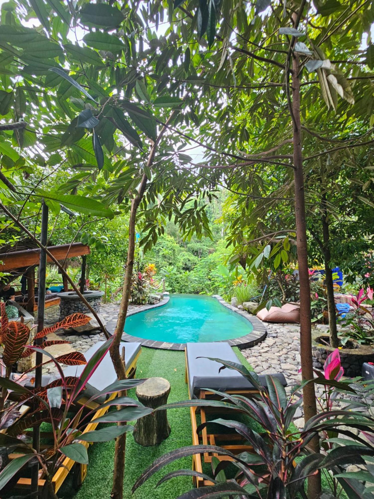 Les Garden Villa Tejakula Buitenkant foto