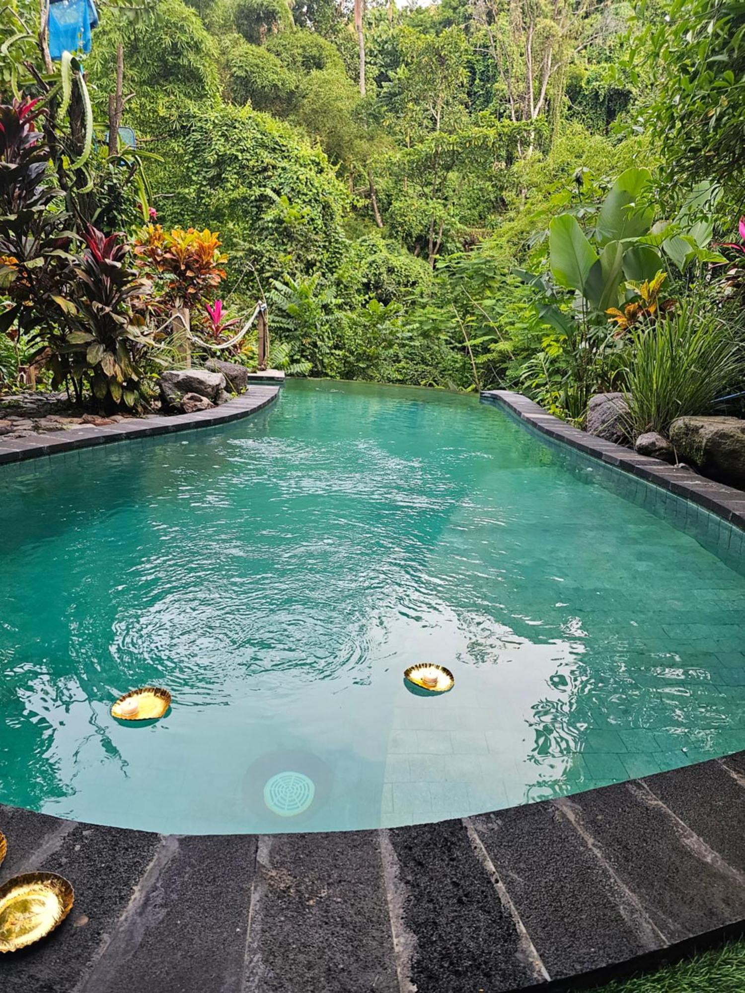 Les Garden Villa Tejakula Buitenkant foto