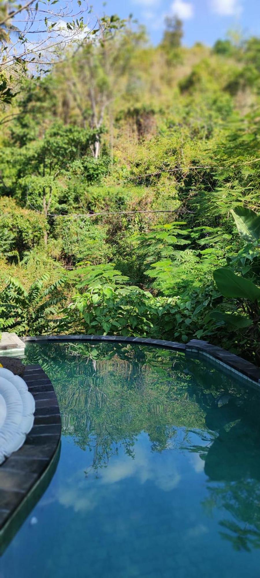 Les Garden Villa Tejakula Buitenkant foto