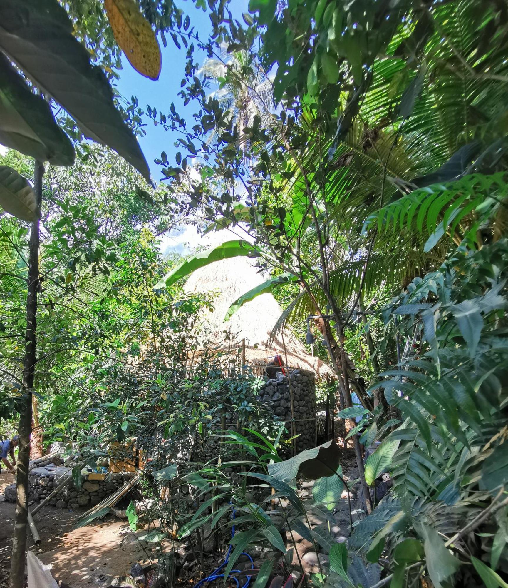 Les Garden Villa Tejakula Buitenkant foto