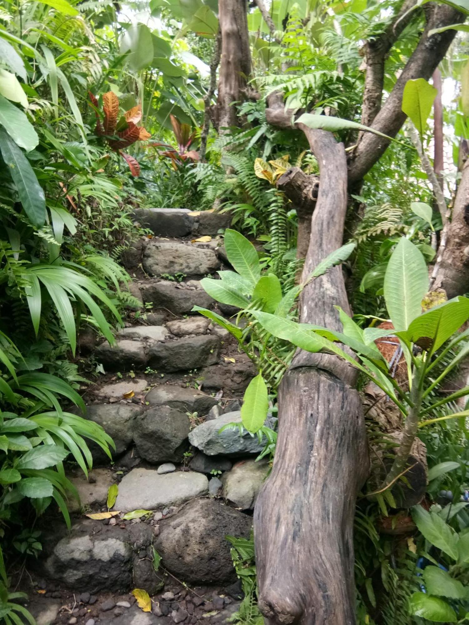 Les Garden Villa Tejakula Buitenkant foto