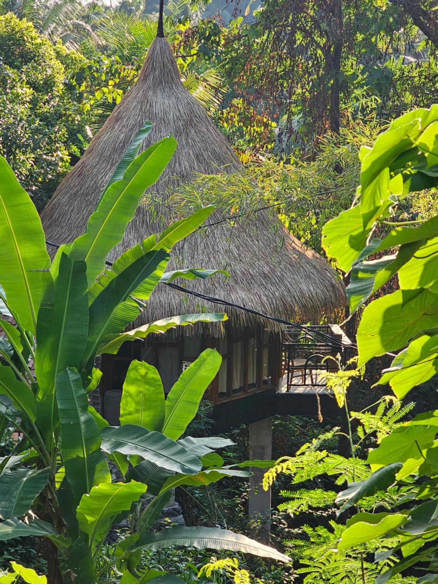 Les Garden Villa Tejakula Buitenkant foto