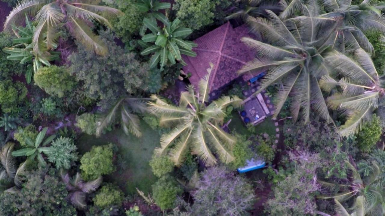 Les Garden Villa Tejakula Buitenkant foto